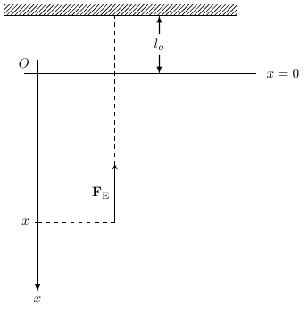 Oscillations