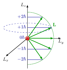 Quantification du spin